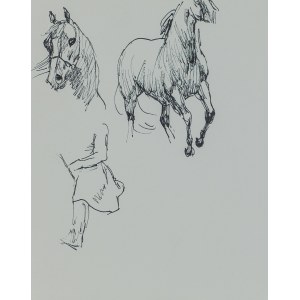 Ludwik MACIĄG (1920-2007), Skica koně, koňská hlava a obrys ženy sedící na koni