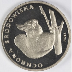 PRL. PRÓBA Nikiel. 500 zł, 1985. WIEWIÓRKA.
