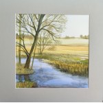 Agnieszka Pojedyńska, Landscape.