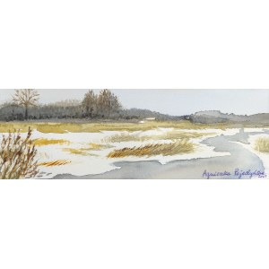 Agnieszka Pojedyńska, Landscape.