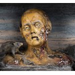 GAETANO GIULIO ZUMBO (Siracusa, 1656 - Paris, 1701), Anatomical bust with worms
