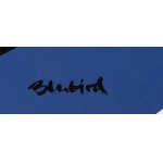 Marcin Gregorczuk / Blubird (ur. 1977, Siedlce), Daydream, 2023