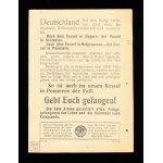 Kessel in Pommern Sowjetisches militärisches Propagandablatt an deutsche Soldaten, Pommern, Zweiter Weltkrieg (16)