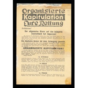 Organisierte Kapitulation deine Rettung Sowjetisches militärisches Propagandablatt für deutsche Soldaten, Zweiter Weltkrieg (38)