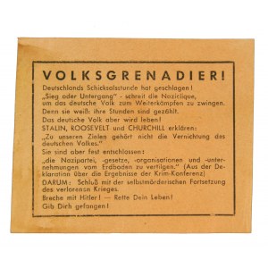 World War II Allied leaflet calling on Germans to surrender(418)