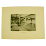 Portfolio of photographs [30 cards] of the town of Jaktorow in Russia (801)