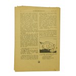 Polský podzemní tisk: Informační bulletin č. 1 (145), 22. října 1942 (953)