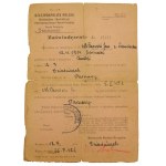 A set of documents of an ZWZ soldier, Auschwitz prisoner (357)