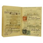 Cestovný pas vydaný poľským konzulátom v Berlíne v roku 1935 (290)