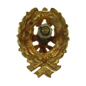 Clerical badge Tsarist Russia (13)