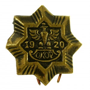 Badge of the Civic Committee for the Defense of the State 1920 OKOP (53)
