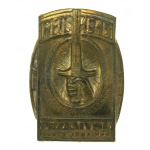 Przemyśl, Gorlice, Tarnow 1915 commemorative badge. (59)