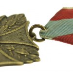 Badge of the First Section of the Defense of Lviv 1918. (153)