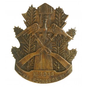 II RP, Abzeichen des Freiwilligen Bataillons der Sanok-Schützen (112)