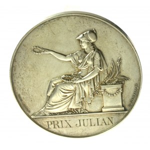 France, Rodolphe Julian Academy of Painting and Sculpture Medal, Paris 1894. silver (202)