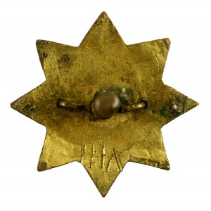 Guild journeyman badge, Warsaw early 20th (352)