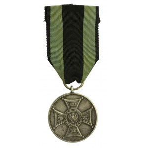 Srebrny Medal Zasłużonym na Polu Chwały, Krasnokamsk (364)