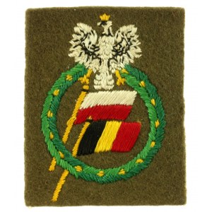 PSZnZ Belgium Volunteers patch (385)