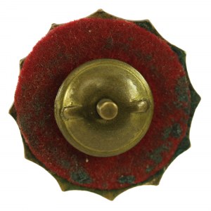 II RP, Brązowa Odznaka Strzelecka. Wersja emaliowana. (407)