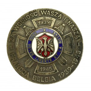 PSZnZ, Badge of the 19th and 29th Polish Infantry Groups (415)