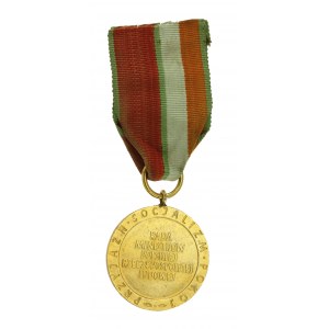 Poľská ľudová republika, medaila Stráž mieru 1. trieda (429)