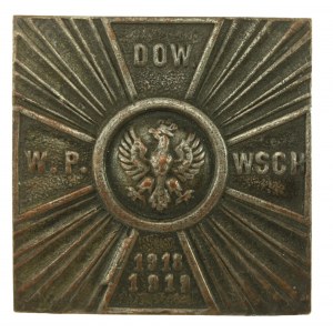 Odznaka Dowództwo Wojsk Polskich na Wschodzie 1918-1919 (193)