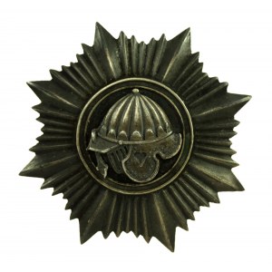 Badge of the 5th Armored Battalion (87)