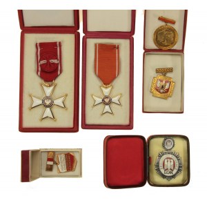 Kit für Ehrenzeichen und Dokumente für Veteranen (565)