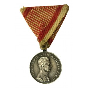 Austro-Węgry, Medal Waleczności (242)