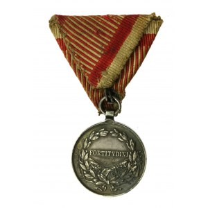 Rakúsko-Uhorsko, medaila za statočnosť (242)