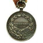 Austro-Węgry, Medal Waleczności (242)