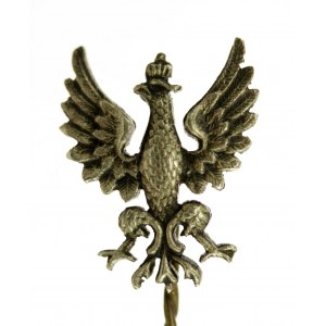 Patriotischer Adler auf Anstecknadel, frühes 20. Jahrhundert. (717)