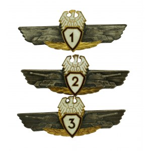 People's Republic of Poland, Mechanic - Tank Driver badge set, class 1, 2 and 3 (728)
