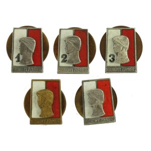 PRL, Set of miniature badges Model Soldier. Total 5 pcs (733)