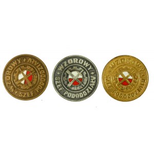 People's Republic of Poland, Model Subdivision Chief badge set wz. 1982. total 3 pcs. (734)