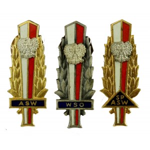 Poľská ľudová republika, sada absolventských odznakov, Občianska milícia. Spolu 3 ks. (776)