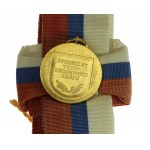 PRL, Złoty Medal Za Zasługi dla Ligi Obrony Kraju - sztandarowy (779)