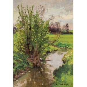 Mikhail Vygotsky-Gorstkin (1861 - 1926), Landscape with a stream.