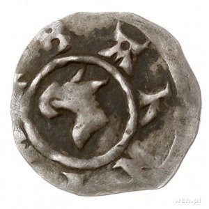 Barnim I 1264-1278, denar, Aw: Głowa gryfa w lewo, BARN...