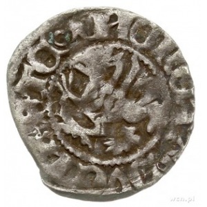 Szczecin, Otto II i Kazimierz VI 1413-1428, wit, Aw: Gr...