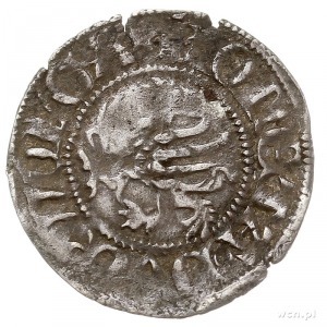 Ks. Wołogoskie, Barnim VII i Warcisław IX 1405-1451, wi...