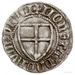 Winrych von Kniprode 1351-1382, szeląg, Aw: Tarcza Wiel...