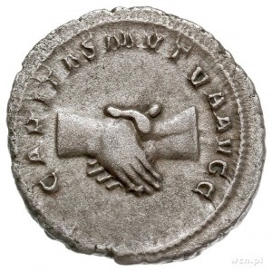 Pupienus 238, antoninian 238, Rzym, Aw: Popiersie cesar...