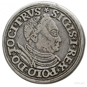 trojak 1534, Toruń, duża głowa króla w czepcu, ozdobna ...