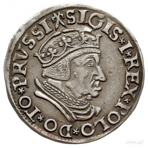 trojak 1537, Gdańsk, korona królewska bez krzyżyka i na...