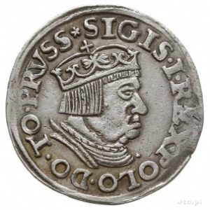 trojak 1537, Gdańsk, korona królewska z krzyżykiem i ko...