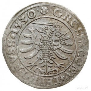 grosz pruski 1530, Toruń, PN.13-Dut.52