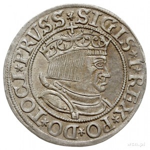 grosz pruski 1533, Toruń, PN.13-Dut.89, ładnie zachowan...