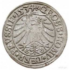 grosz pruski 1534, Toruń, PN.13-Dut.105, bardzo ładny