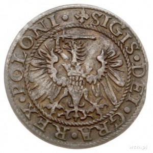 szeląg 1573, Gdańsk, H.Cz.789 (R4), T. 18, bardzo rzadk...